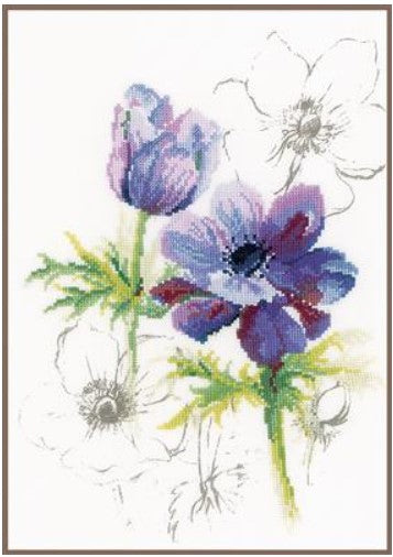 Blue Anemones 30ct