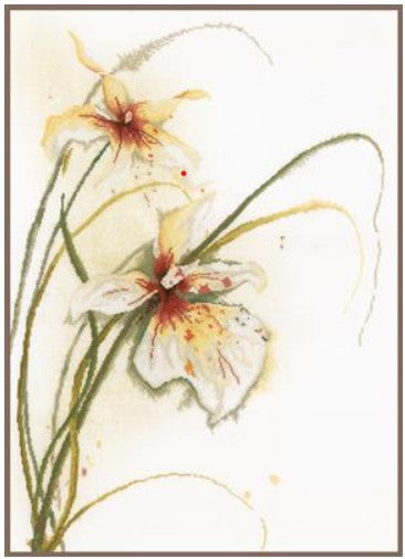 Orchid Flower 30ct