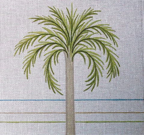 Cocas Plumosa Palm