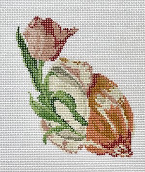 Floral Shell Series - Tulip
