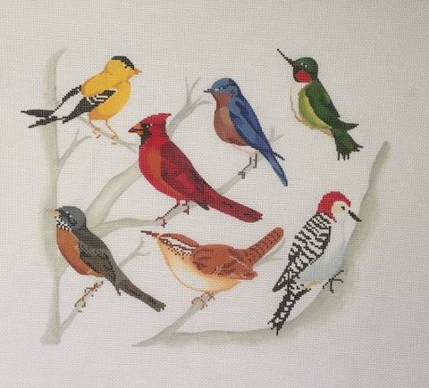 Ohio Birds 13M