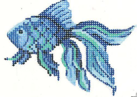 Cobolt Blue Betta Fish