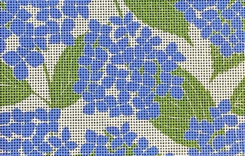 Hydrangeas 