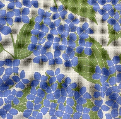 Hydrangeas KN23