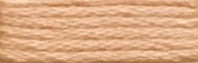855 Hodgepodge Range - Needlepoint Inc Silk Skein