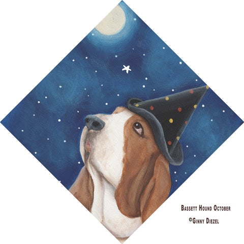 Bassett Hound/October