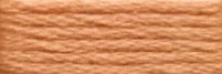 856 Hodgepodge Range - Needlepoint Inc Silk Skein