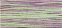 1301 Julian - Weeks Dye Works 6 Strand Floss