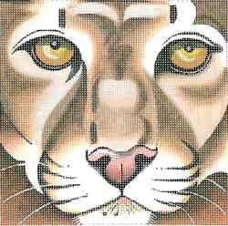 Cougar Coaster