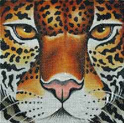 Jaguar Coaster