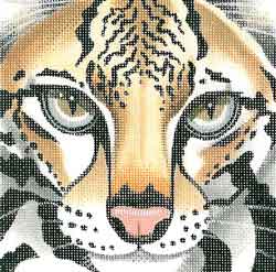 Ocelot Coaster
