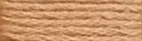 861 Pumpkin Range - Needlepoint Inc Silk Skein