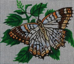 Orange/Brown/White Butterfly w/Leaves