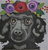 Poodle