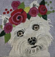 Westie