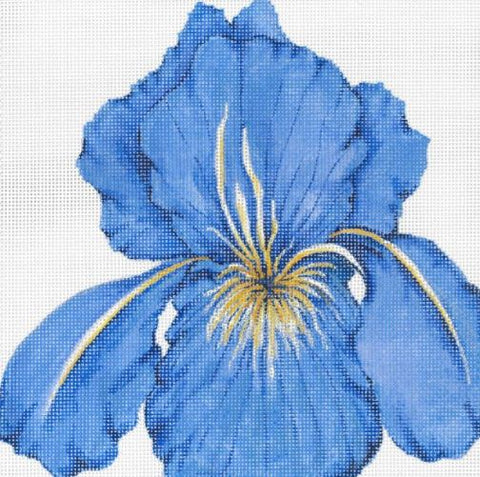 Iris Pillow
