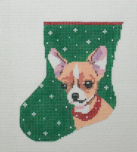 Chihuahua Mini Sock