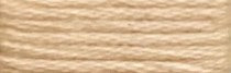867 Pumpkin Range - Needlepoint Inc Silk Skein