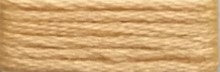 868 Pumpkin Range - Needlepoint Inc Silk Skein