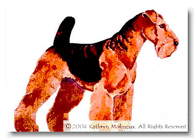 Welsh Terrier [Airedale]