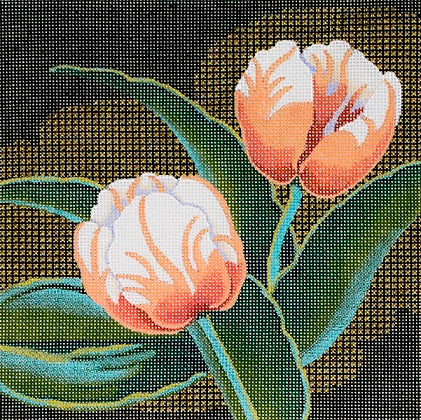 Squares - Tulips