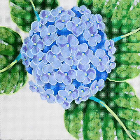 Squares - Hydrangea