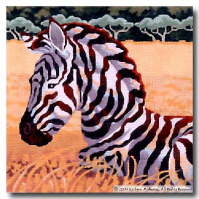 Squares - Zebra Foal