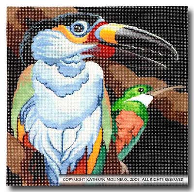 Squares - Toucan and Hummingbird