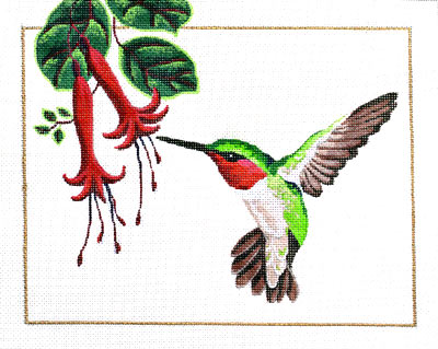 Ruby Throated Hummingbird