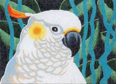 Sulphur Crested Cockatoo