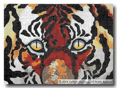 Tiger Eyes