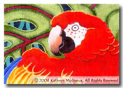 Scarlet Macaw