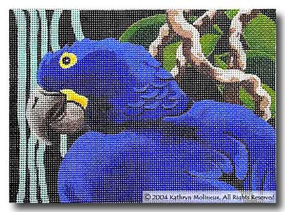 Hyacinth Macaw