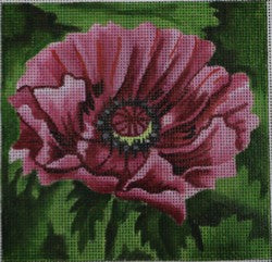 Poppy