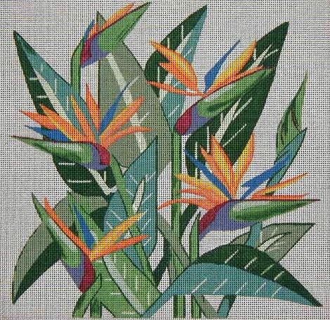 Bird of Paradise