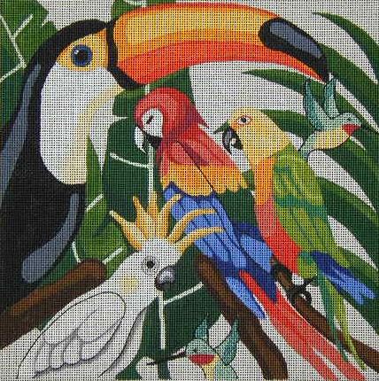 Tropical Birds