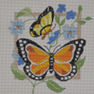 Orange Butterfly