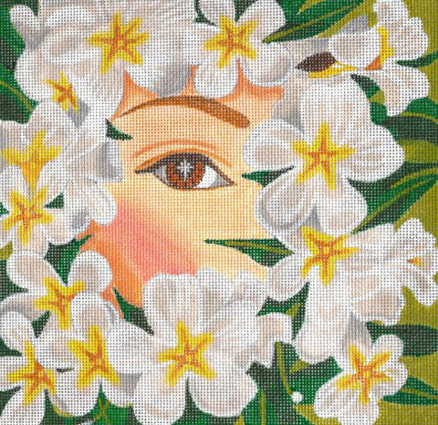 Peek-a-Boo - Jasmine