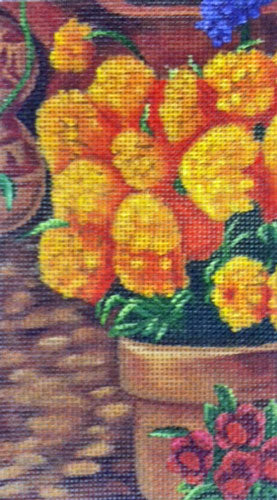 Marigold