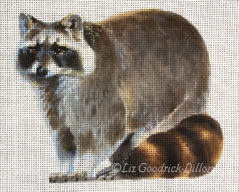 Racoon