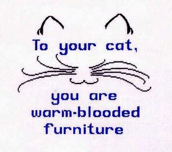 To Your Can You're Furniture