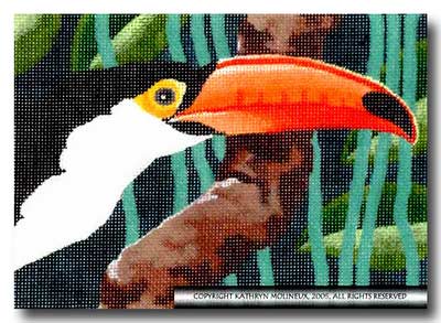 Details - Toucan