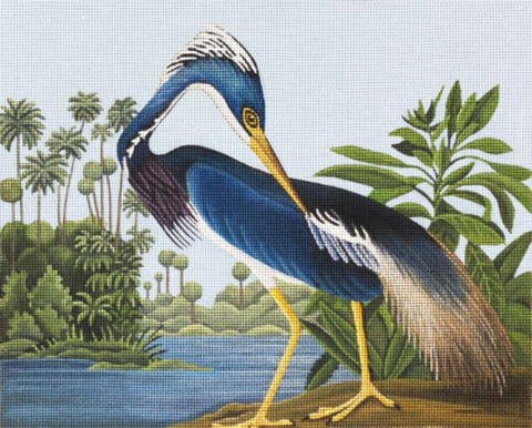 Audoban Heron