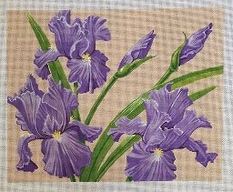 Irises