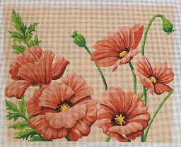 Poppies