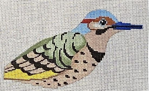 Northern Flicker 