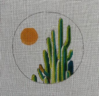 Cactus in Sunshine