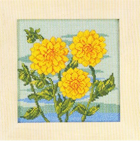 Dahlia