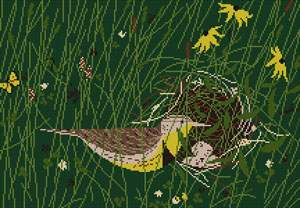 Eastern Meadowlark