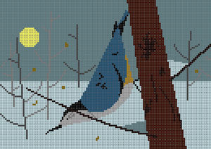 Nuthatch